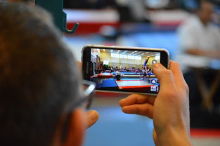 开云平台-中国篮球联赛市场细分与营销研究，篮球联赛介绍